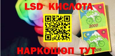 ПСИЛОЦИБИНОВЫЕ ГРИБЫ Новодвинск